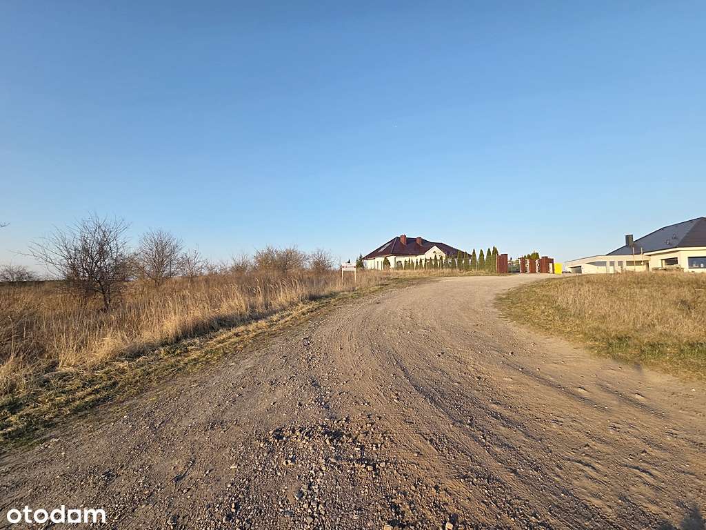 Z widokiem na panoramę miasta - Pełny obrazek: 5/14