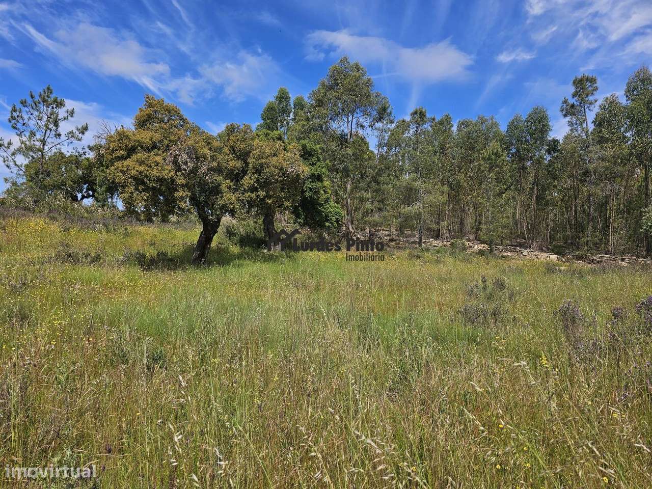 Terreno perto de Castelo Branco - Grande imagem: 2/10