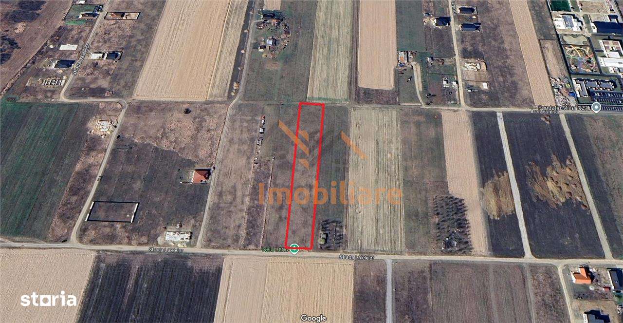 TEREN INTRAVILAN | 3837 mp | CIHEI | BIHOR - Imagine principală: 2/6