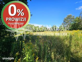 dojazd Ogrodową i Malinową