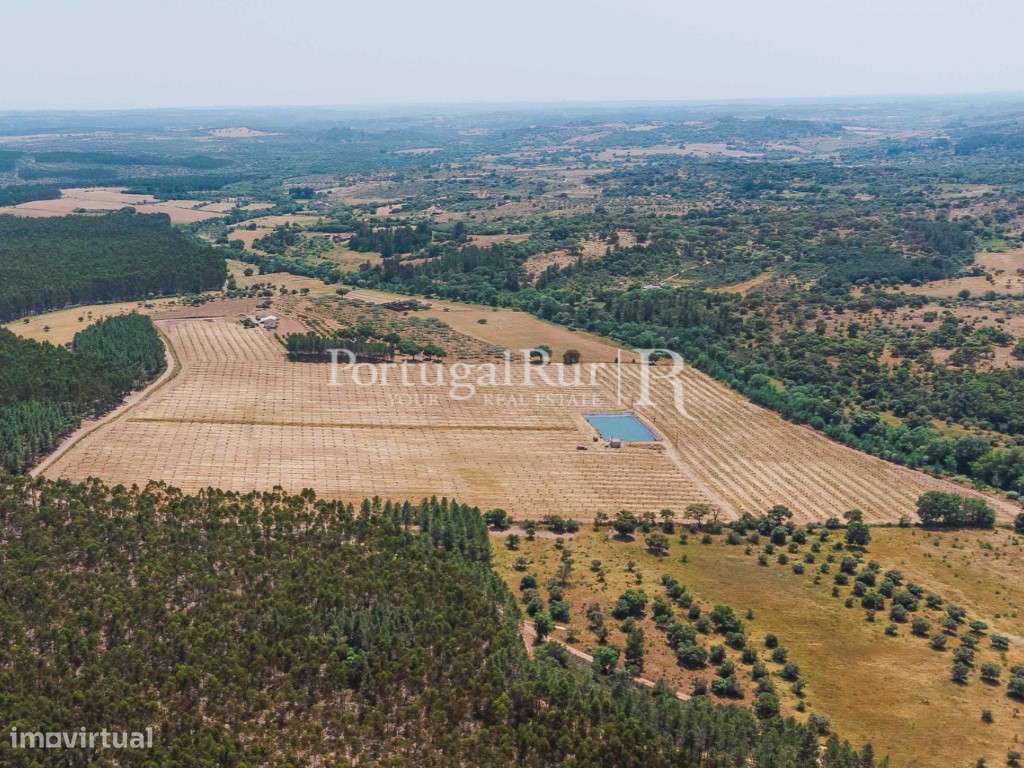 Quinta Exclusiva de Pistacho - 12 Hectares | Investimento Agrícola ... - Grande imagem: 2/19