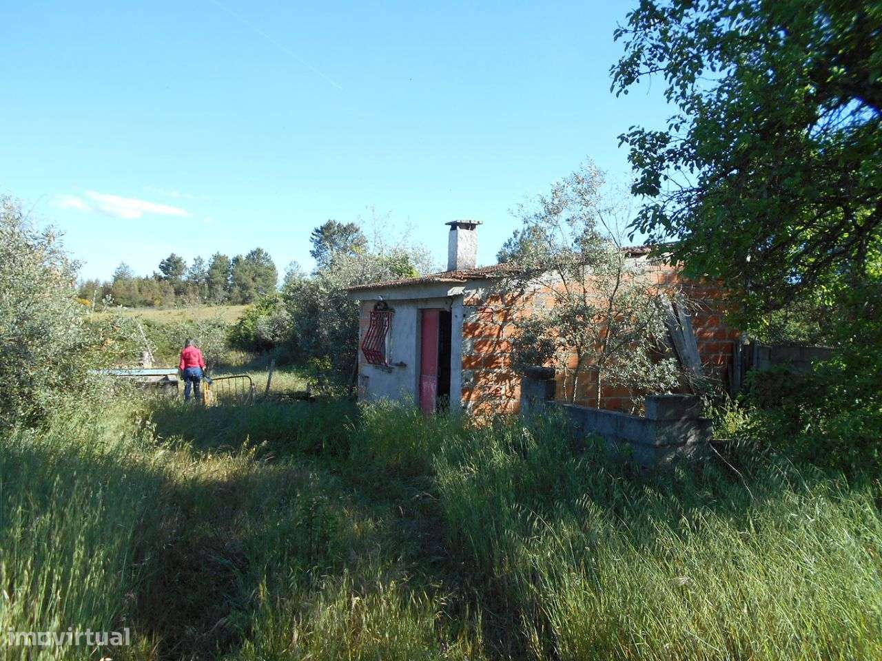 Quinta - Grande imagem: 5/9