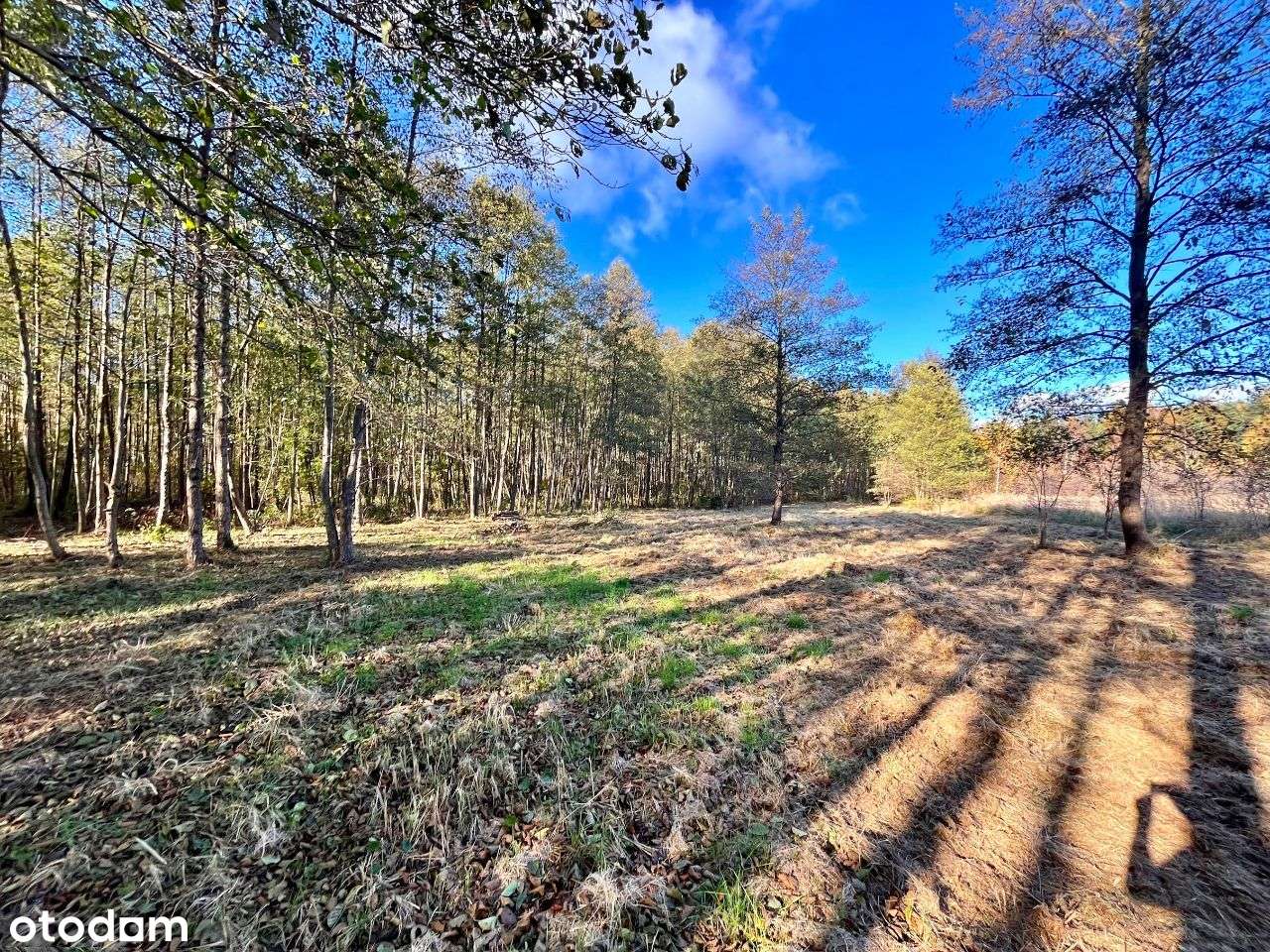 Gertrudów - działka budowlana - gmina Gomunice-5