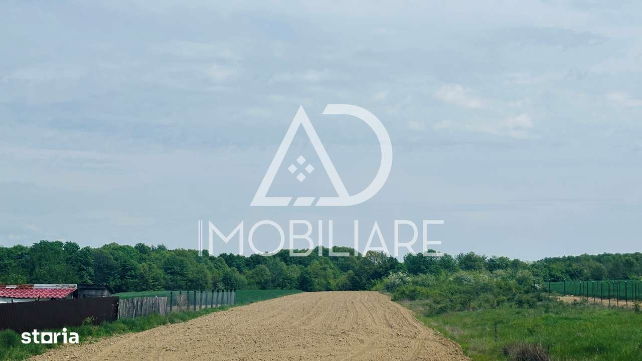 Teren de vânzare Dănești, Sasa-5