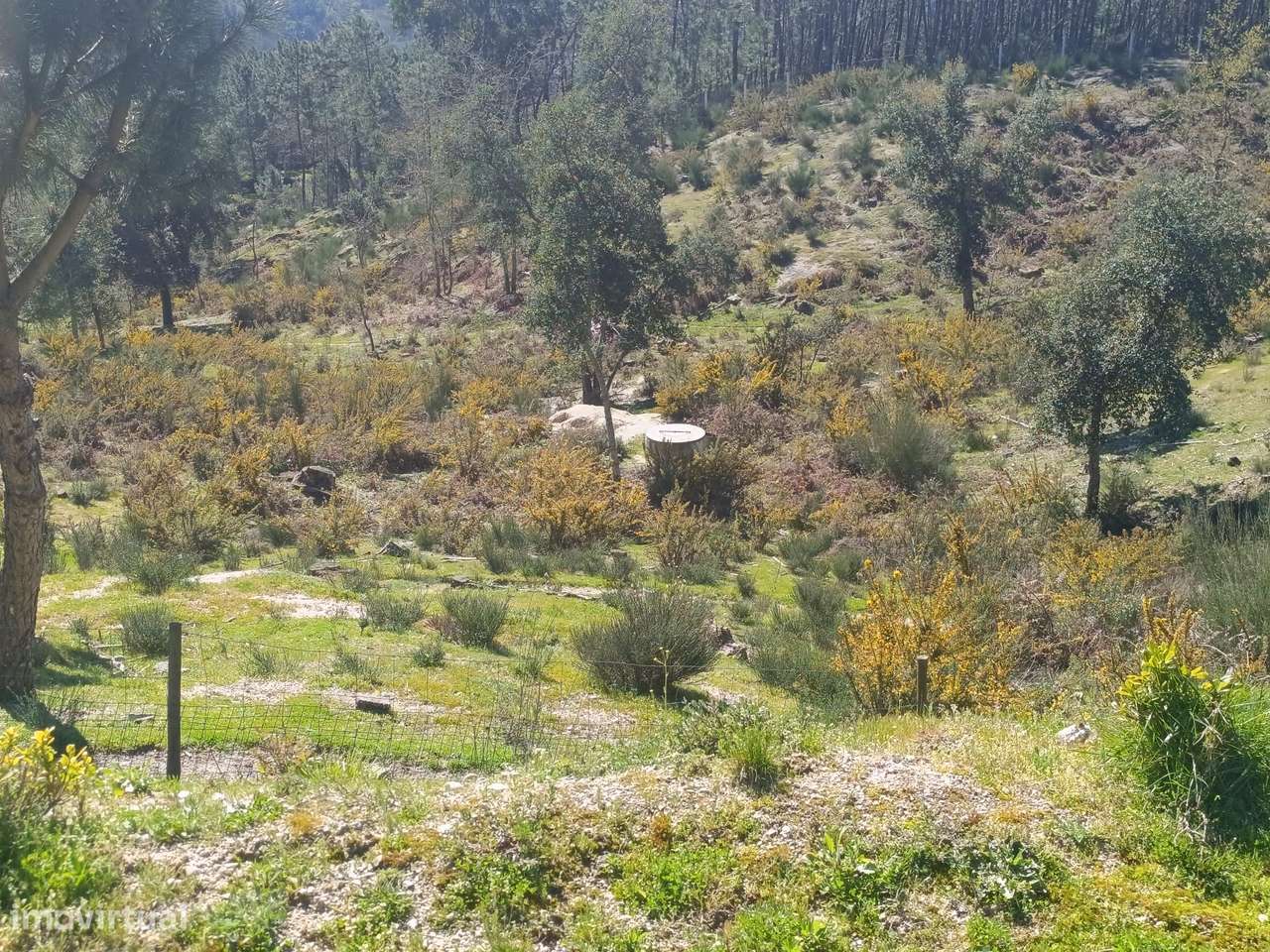 MORADIA DE LUXO ÚNICA – 20.000m² DE TERRENO | VISTAS PANORÂMICAS-28