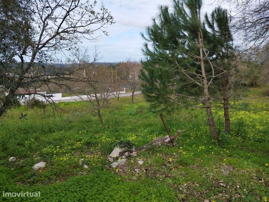 Terreno Urbano Venda Leiria-11