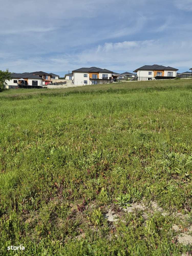 Teren intravilan, 600mp, autorizat casa, zona Corusu - Imagine principală: 3/5