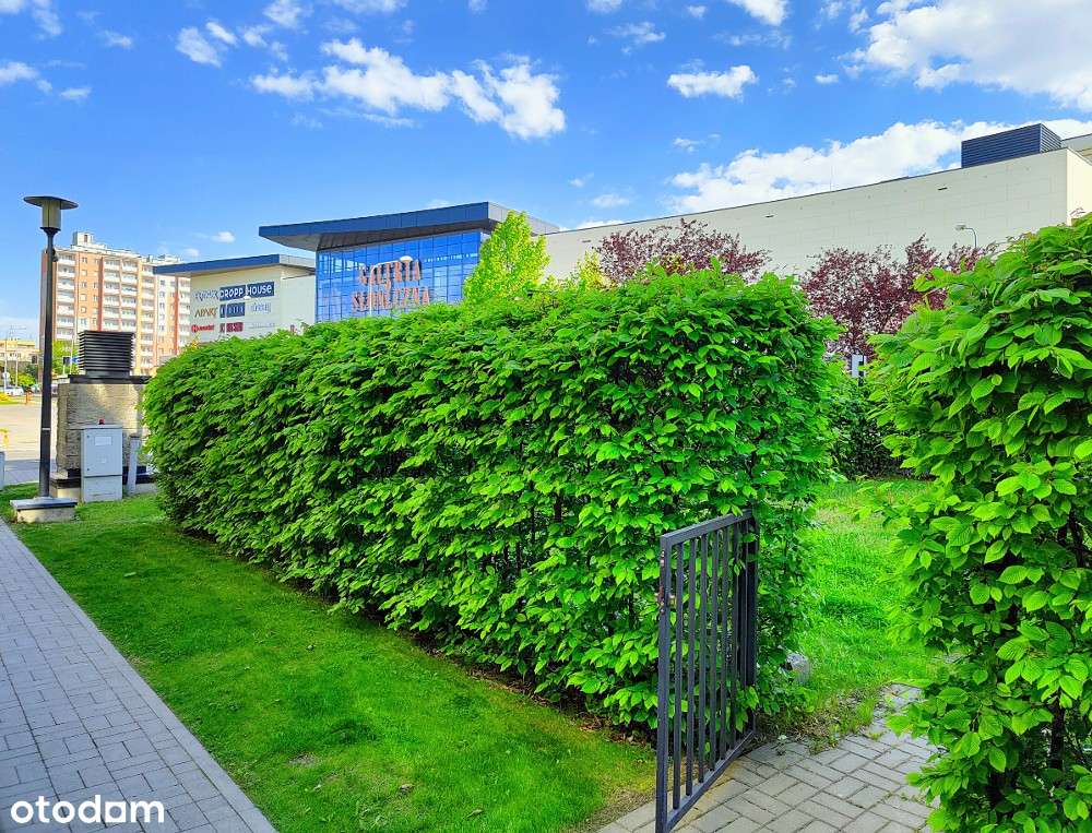 Mieszkanie/ biura/ gabinety 100 m2  + ogród, parter Zegara Słonecznego-15