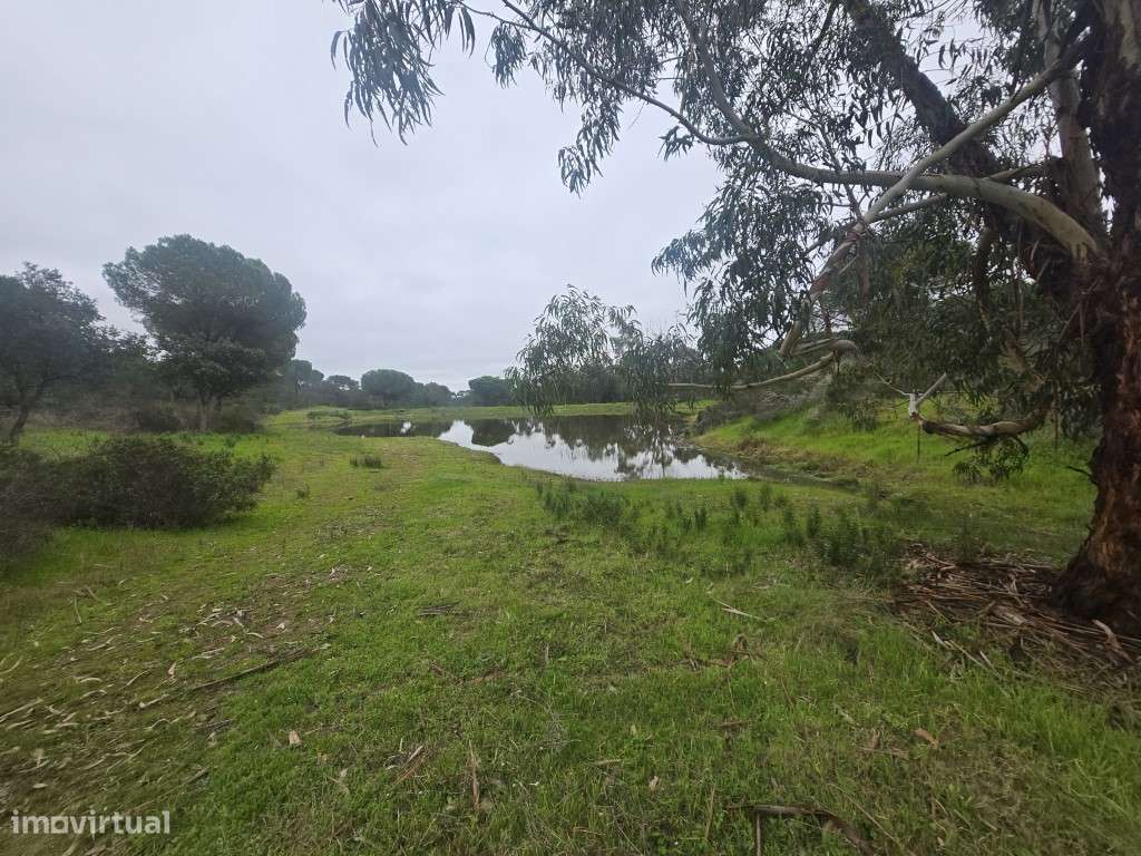 Propriedade privada autónoma - santuário de paz excecional no coraç... - Grande imagem: 5/58