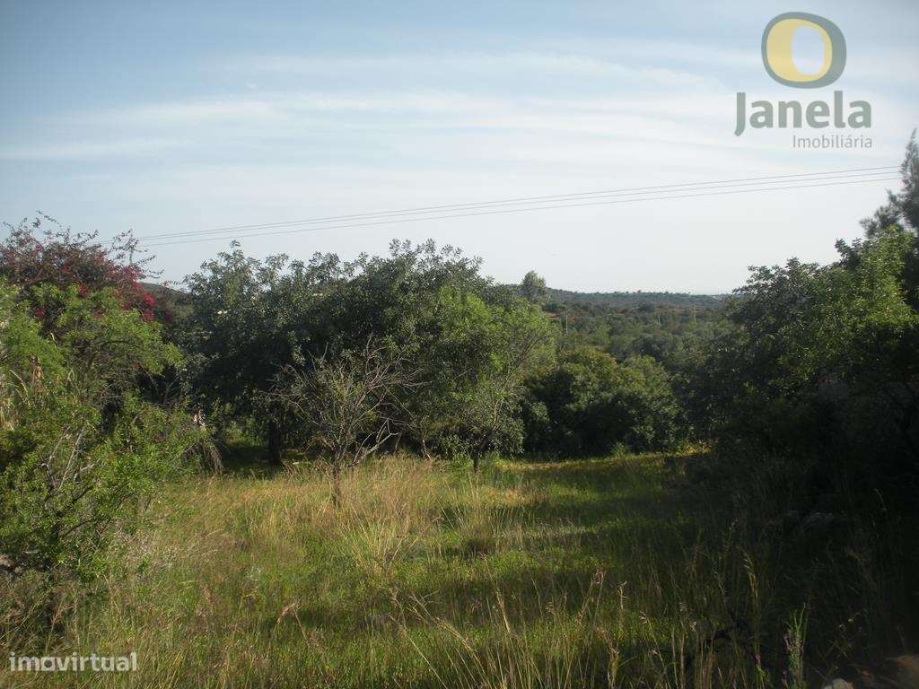 Terreno Rústico Venda Loulé - Grande imagem: 2/5