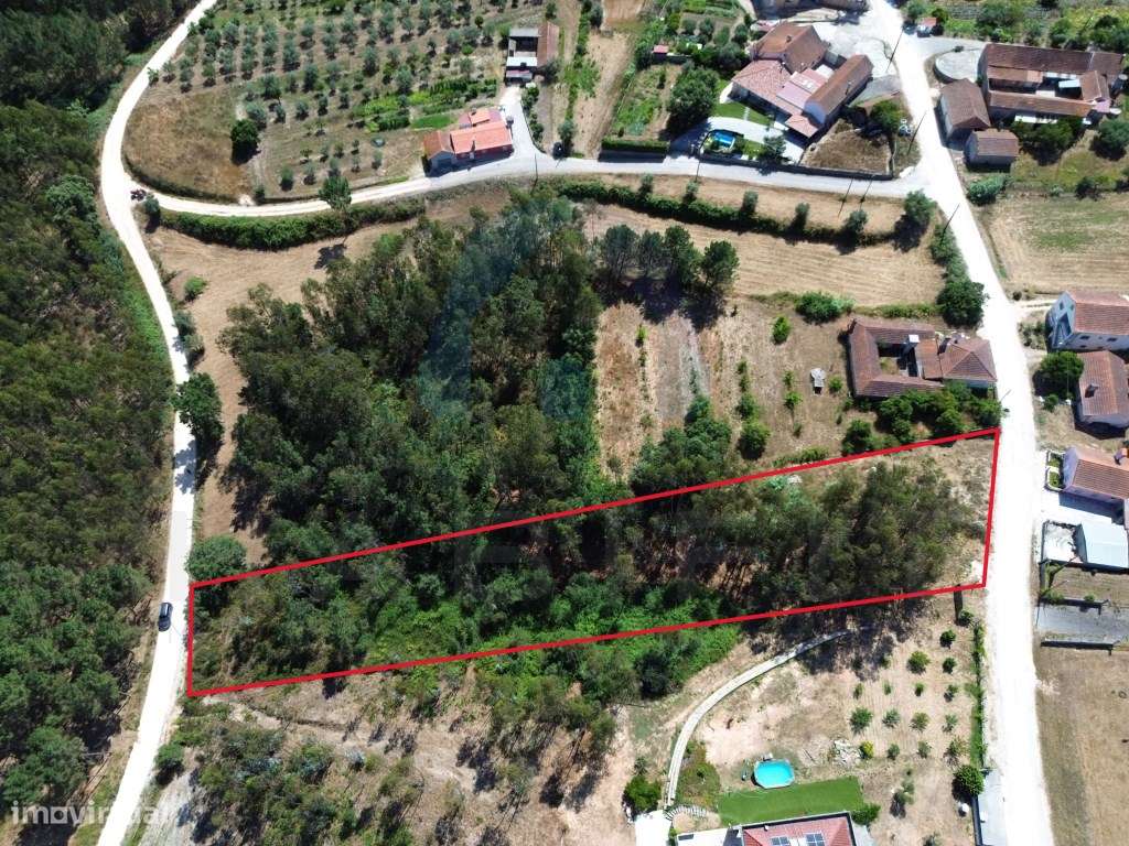 Terreno com Viabilidade de Construção - Pombal - Grande imagem: 5/12