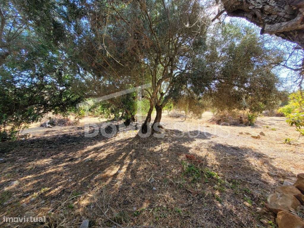 Terreno para construção de moradia - Grande imagem: 5/5