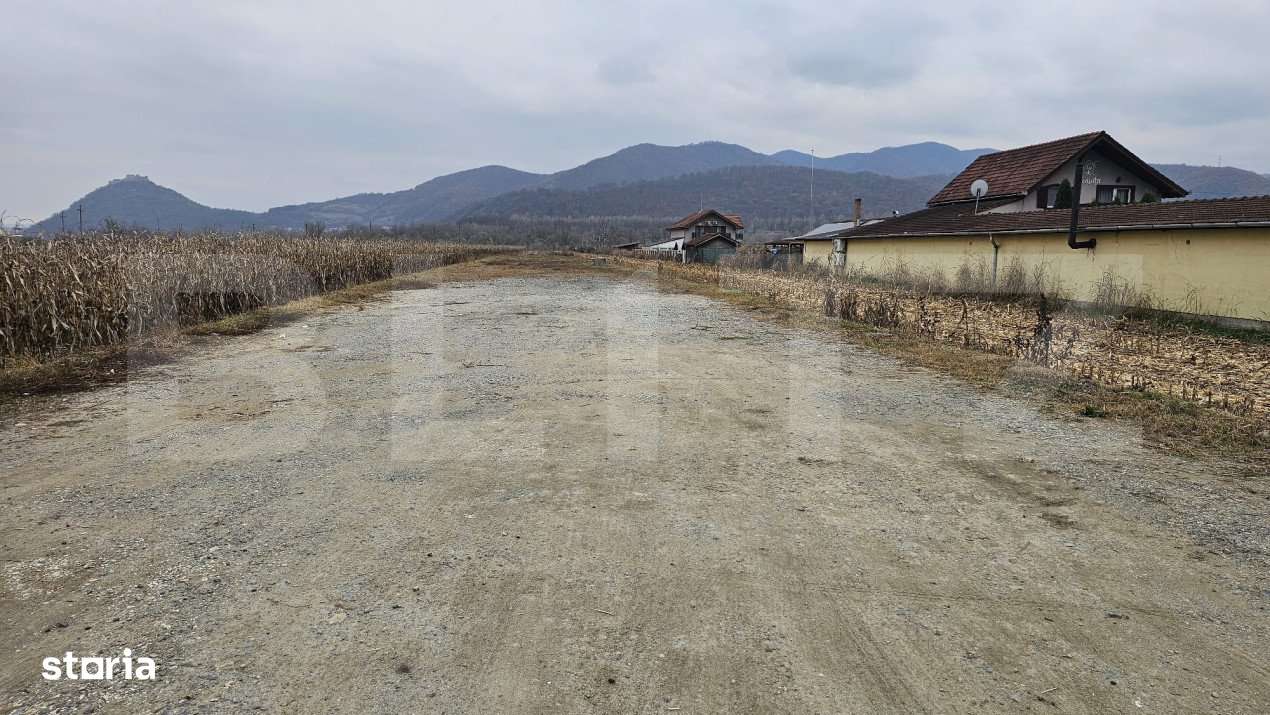 Oportunitate de Investitie de Top in Șoimus - 2600 mp teren intravila - Imagine principală: 2/3
