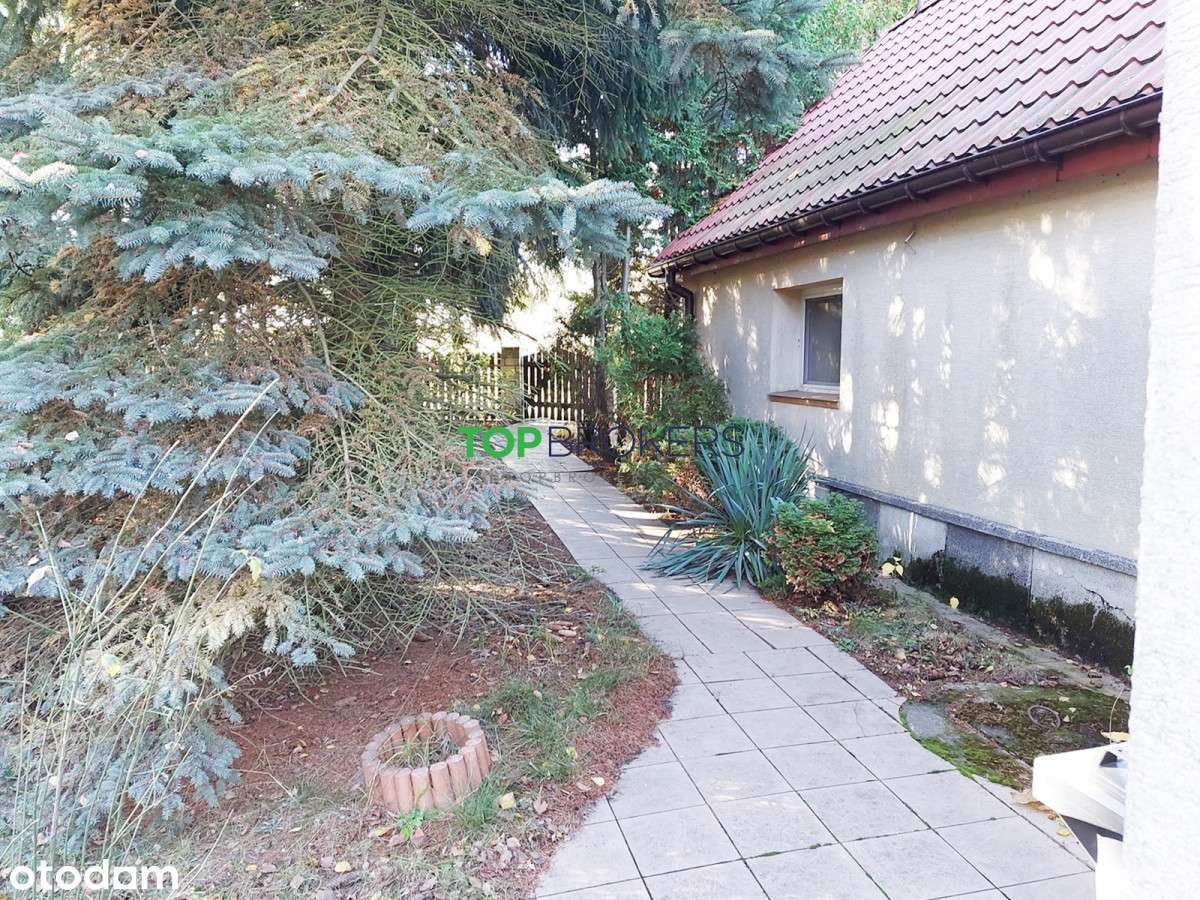 Atrakcyjna działka  z domem, 700 m do  Narwi - Pełny obrazek: 5/20