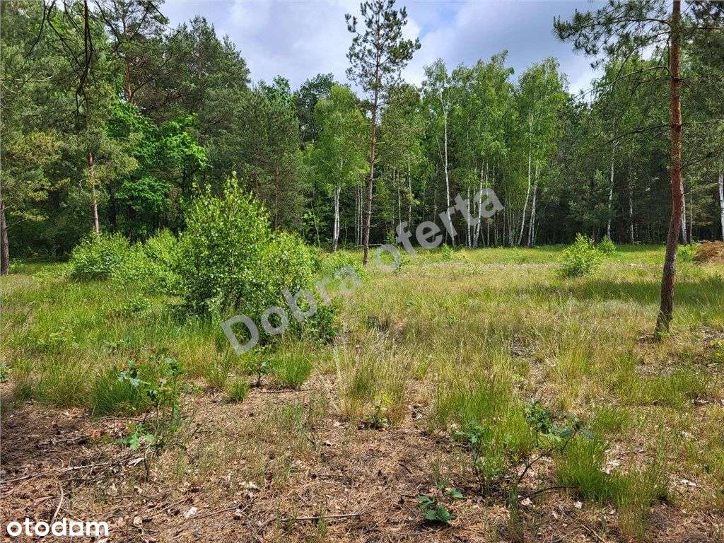 Nowa oferta - dobra cena - miejsce na wypoczynek-3