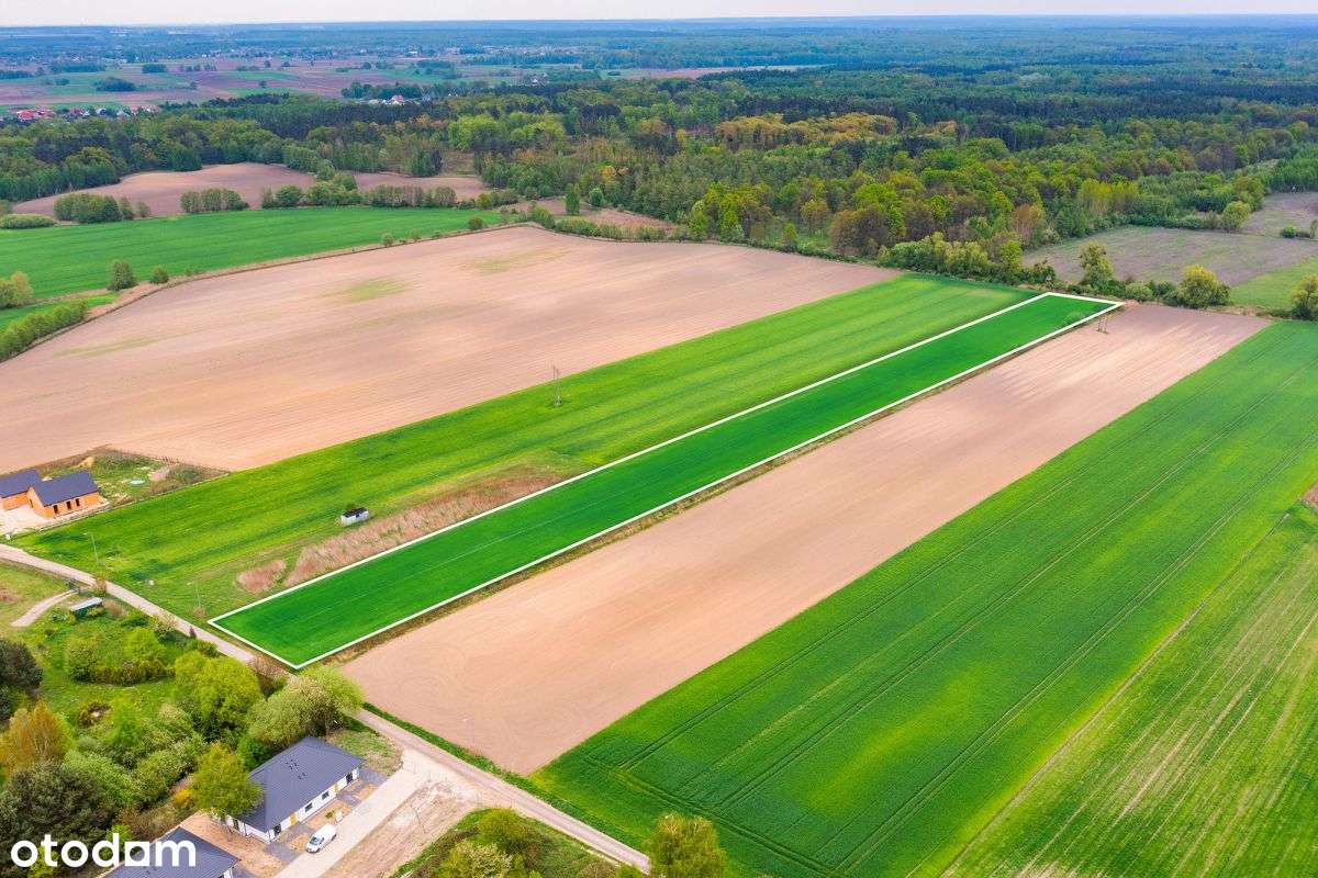 Duża działka rolno-budowlana w Piszkawie - Pełny obrazek: 4/7