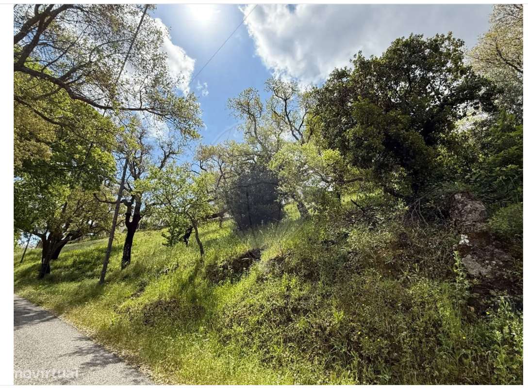 Terreno  para venda - Grande imagem: 3/4