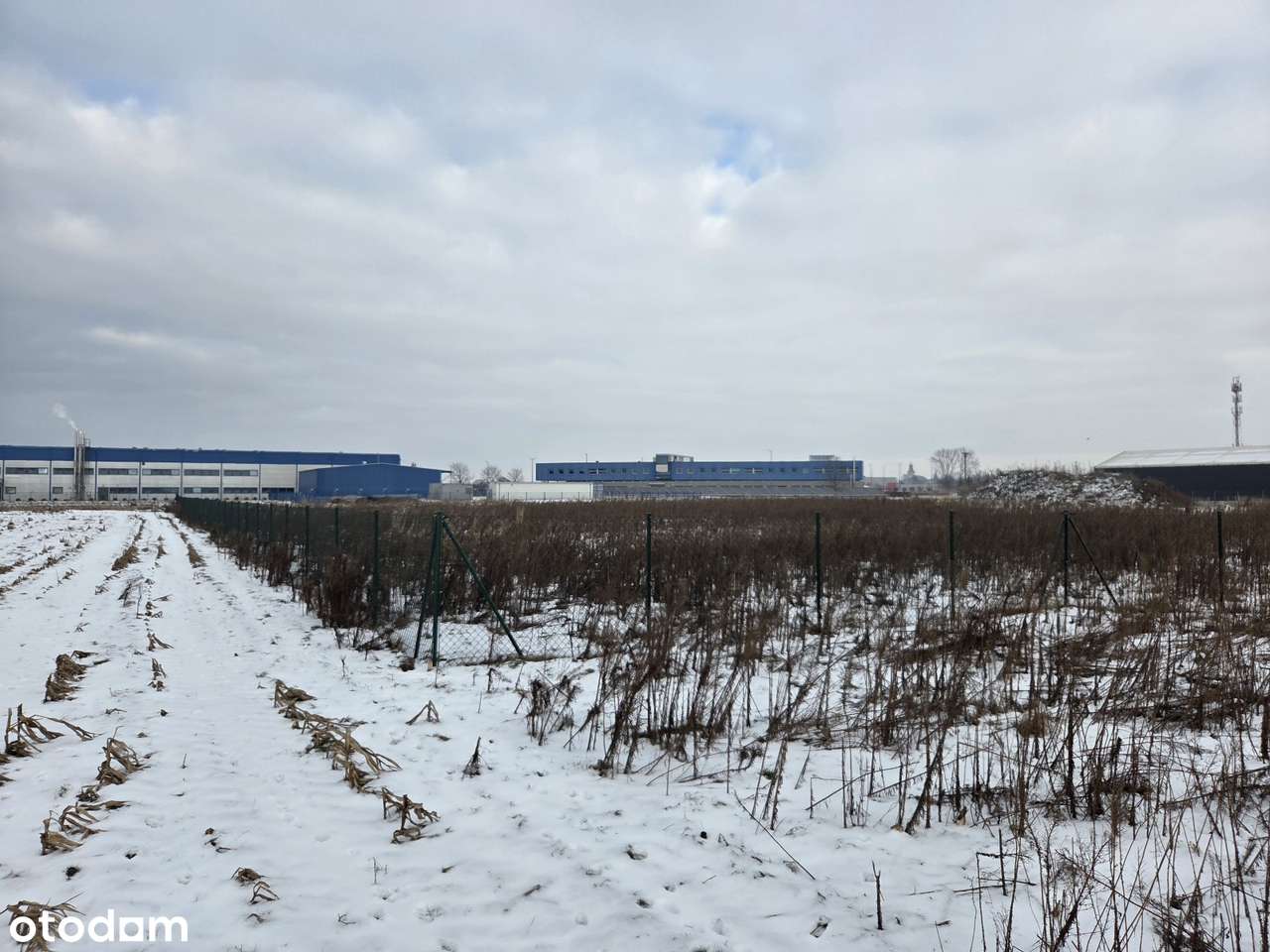 GRUNT INWESTYCYJNY na strefie przemysłowej - Kłoda, ul. Produkcyjna-3