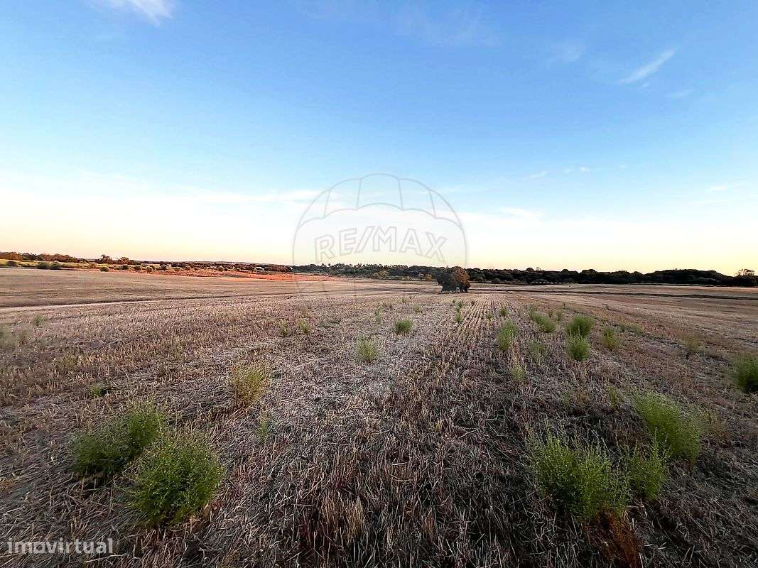 Terreno  para venda - Grande imagem: 3/15