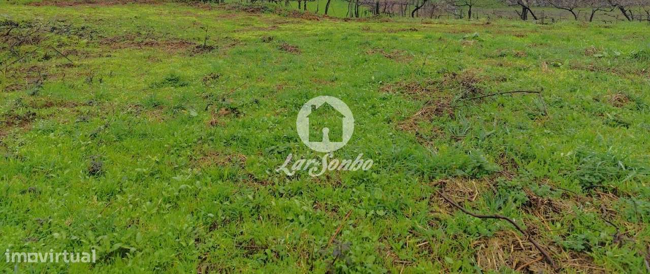 Terreno Urbano em Barcelos - Grande imagem: 2/19