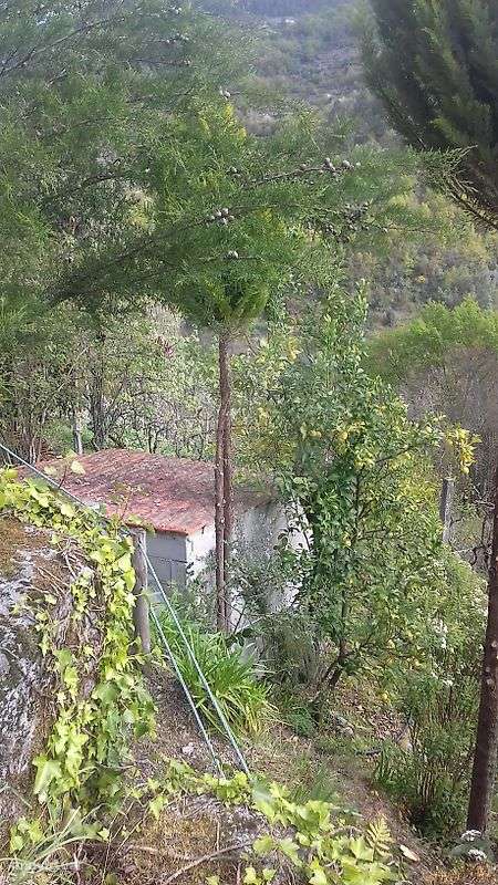 Terreno  para venda - Grande imagem: 4/20