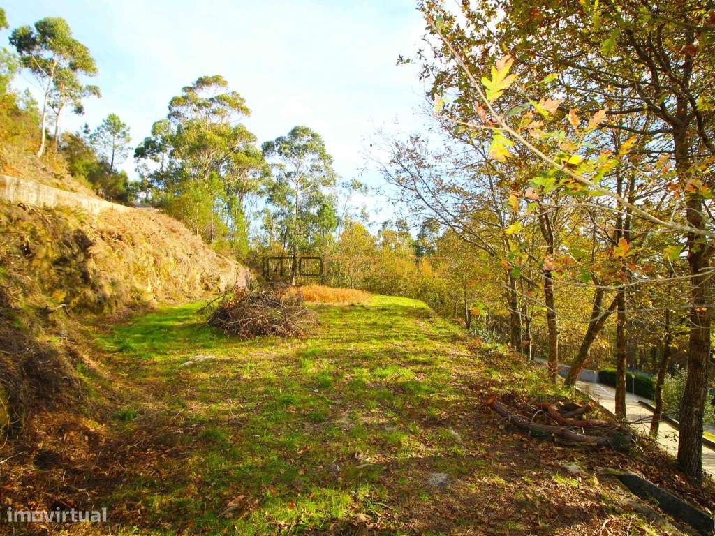 Moradia pronta habitar na Montanha - 1ha de Terreno-49