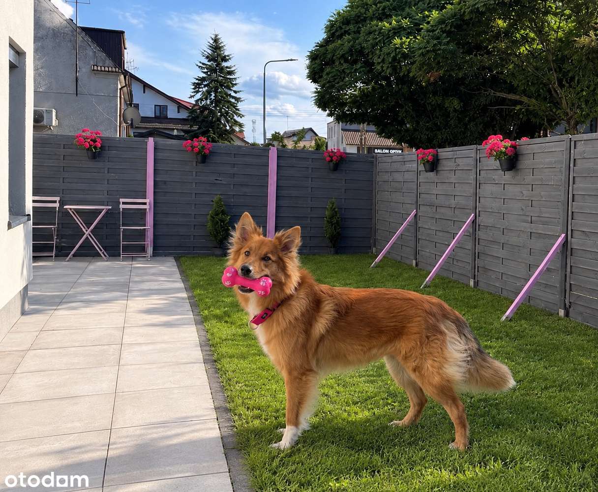 Przy plaży!lWilla Morska. 2 pokoje + taras i Ogródek=60 m ² Garaż!