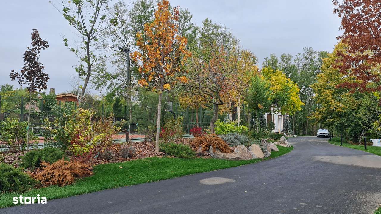 Proprietate 7000 mp cu 2 case + anexe, 160m deschidere la Lacul Snagov - Imagine principală: 5/20