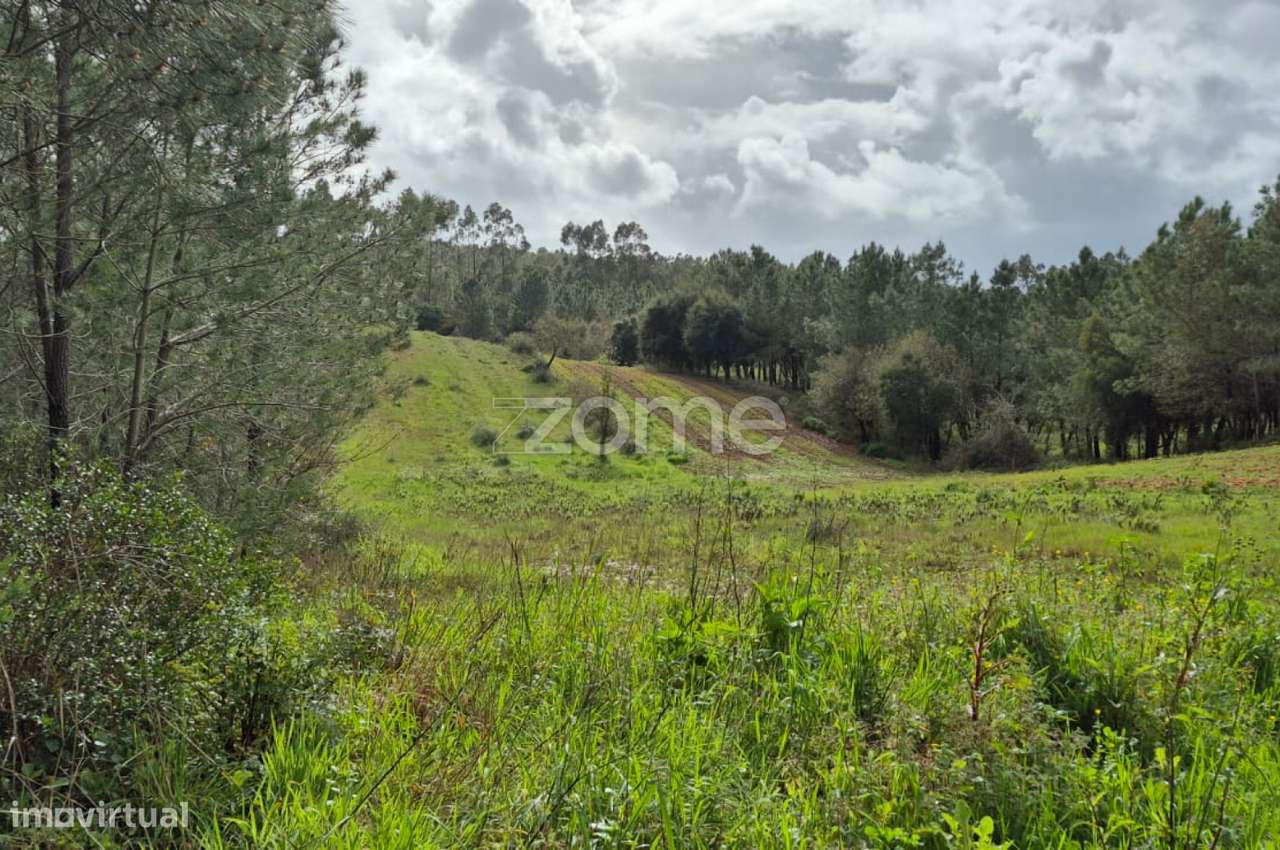 Terreno Rústico em Abrigada, Alenquer - Grande imagem: 4/56
