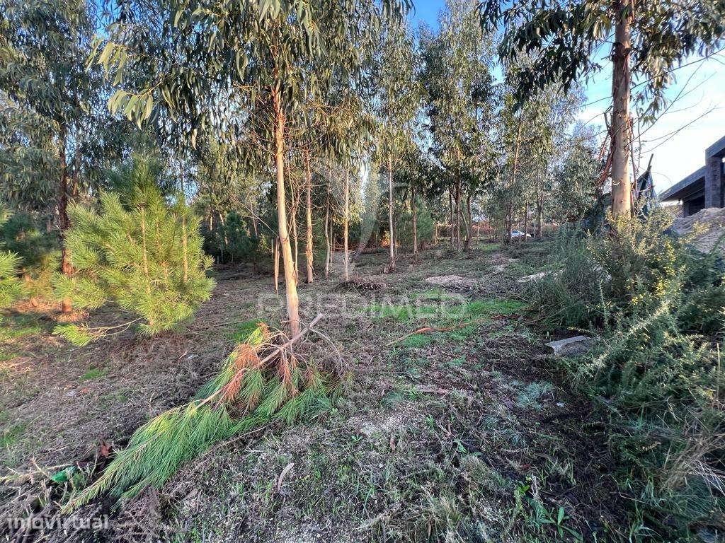 Terreno de construção - Regadas Fafe - Grande imagem: 4/9