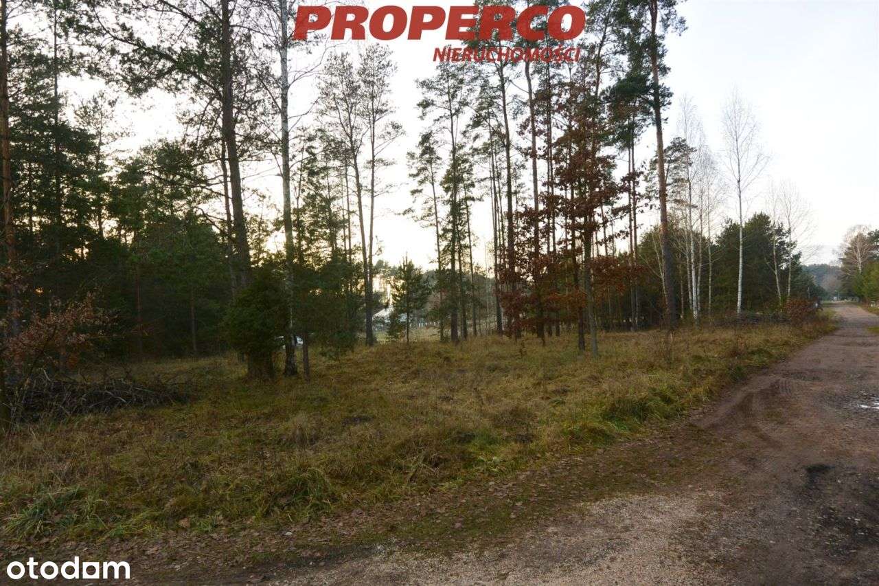 Działka 1519 m2, Marzysz, gm. Daleszyce - Pełny obrazek: 5/5