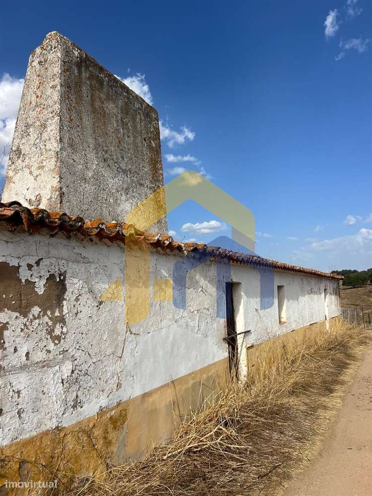 🏡 Quintinha em Monforte-19