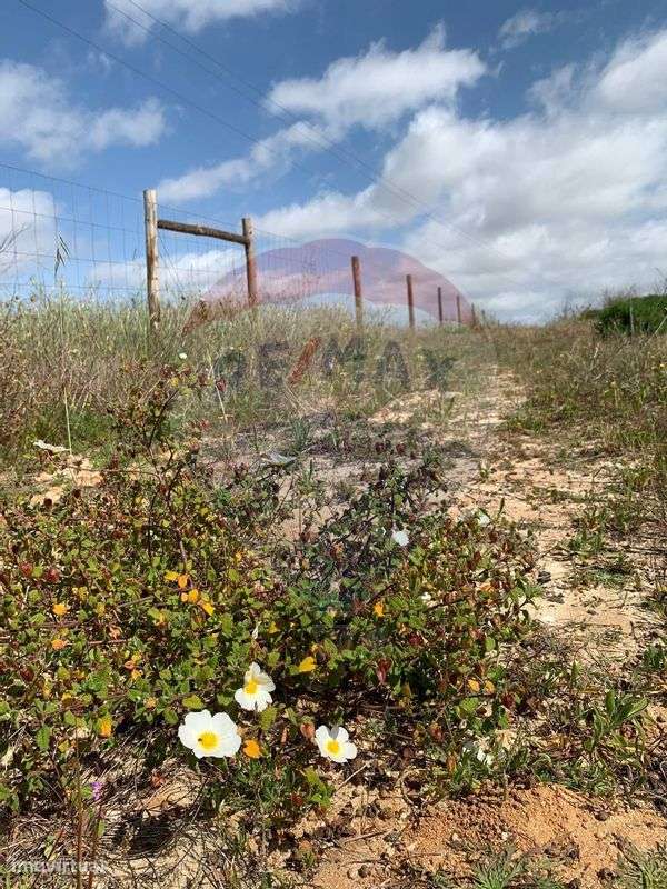 Terreno  para venda - Grande imagem: 4/6