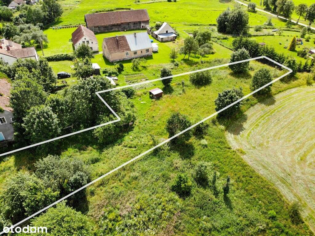 Żytkiejmy | 1811 m² | MPZP mieszkaniowa lub usługi - Pełny obrazek: 5/16