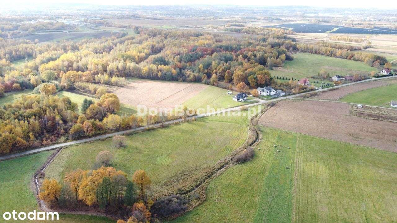 38ar budowlana przy drodze Borek Rzezawa-10