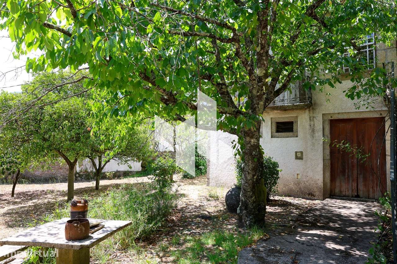 Quinta T6+3 Venda em Castelões,Tondela-26