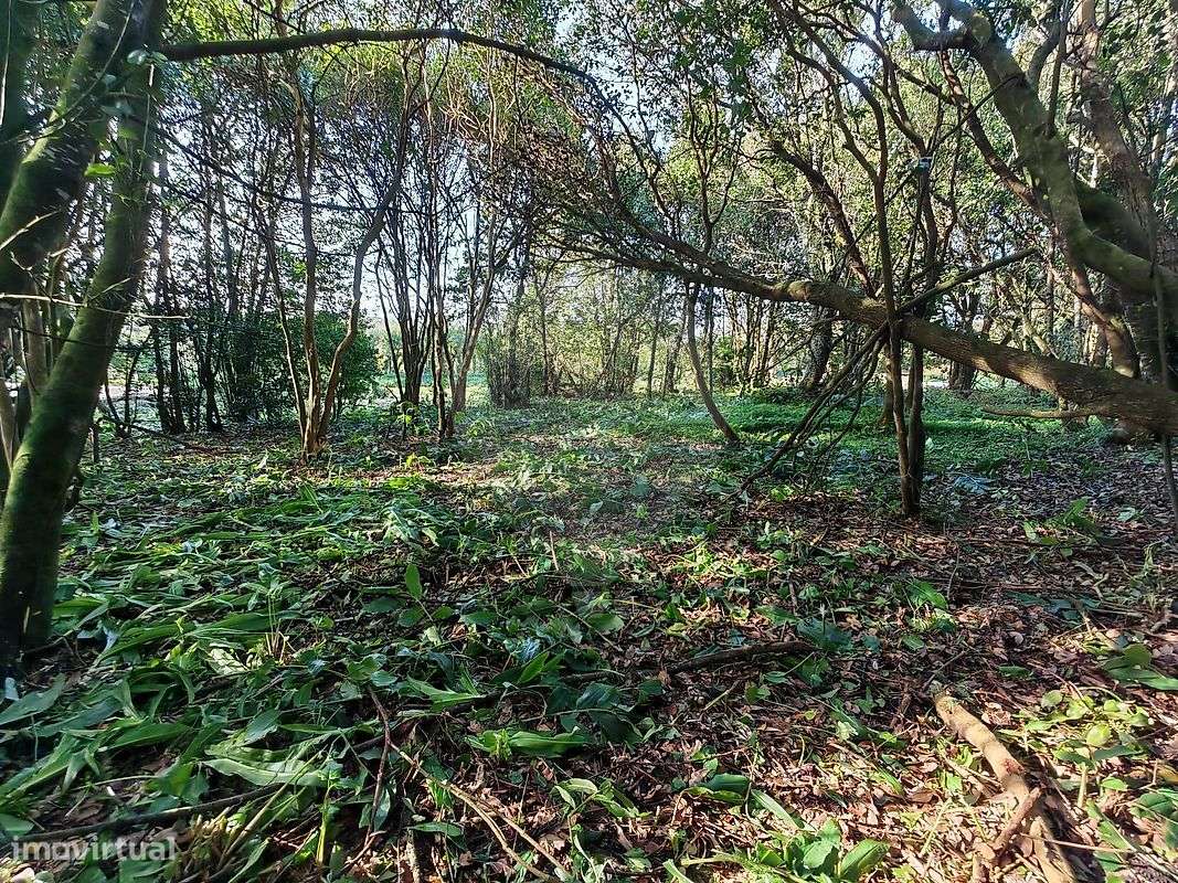 Terreno  para venda - Grande imagem: 2/10