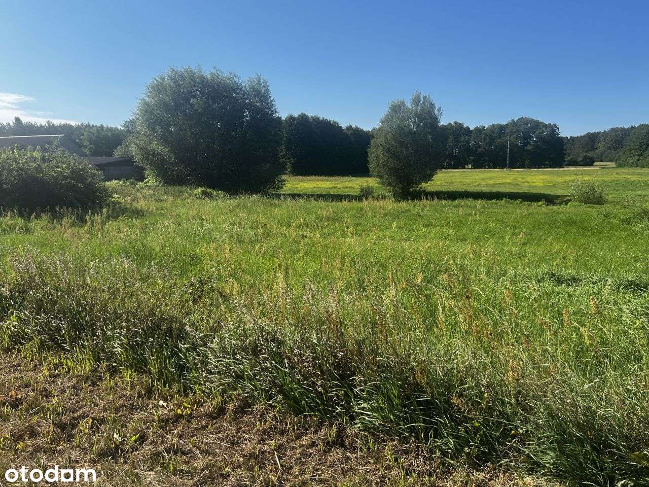 [Działka budowlana - Trzęśniew, gm. Kościelec] - Pełny obrazek: 5/6