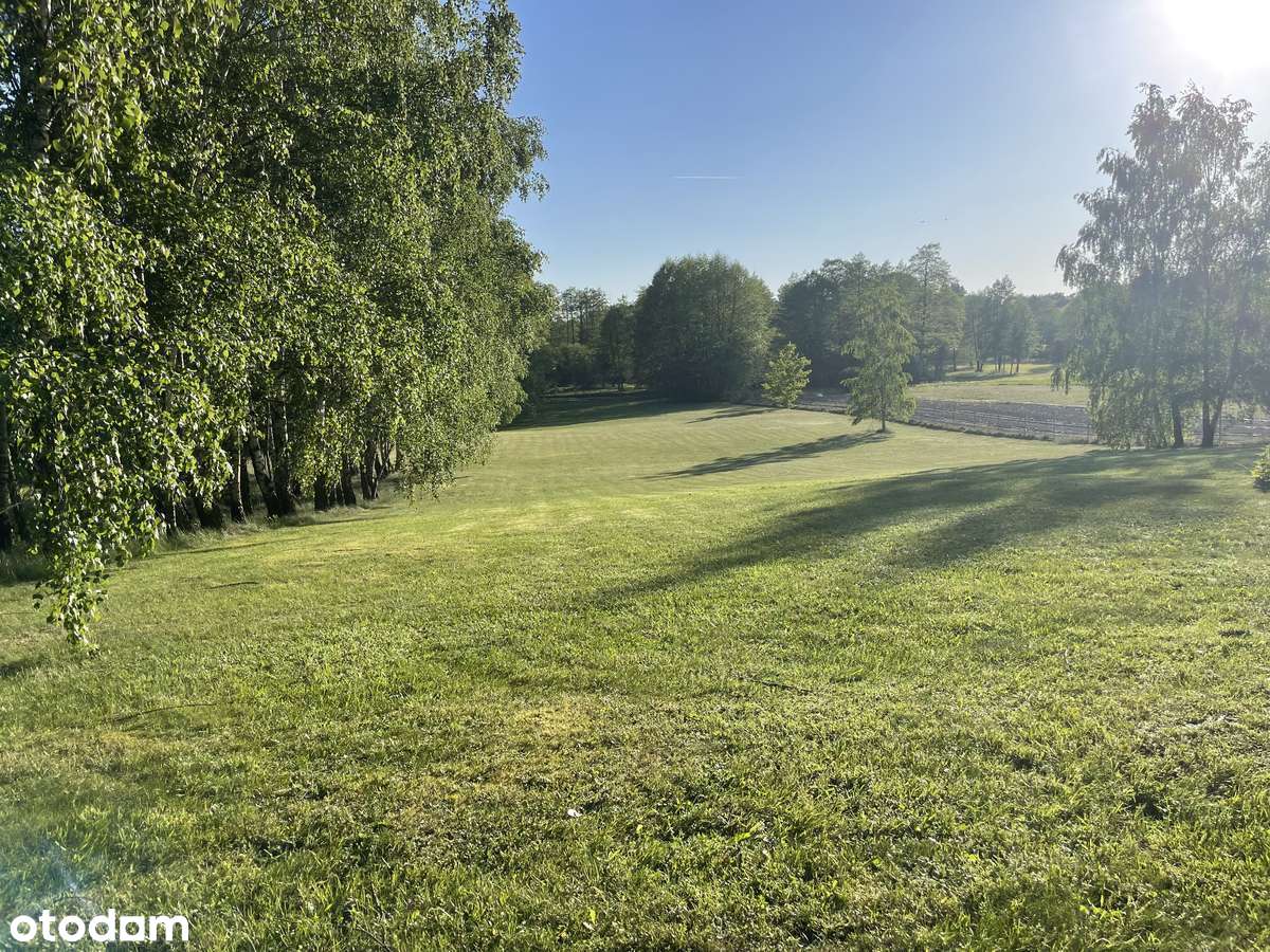 Dom jednorodzinny z dużym terenem i bezpieczeństwem - Pełny obrazek: 4/12