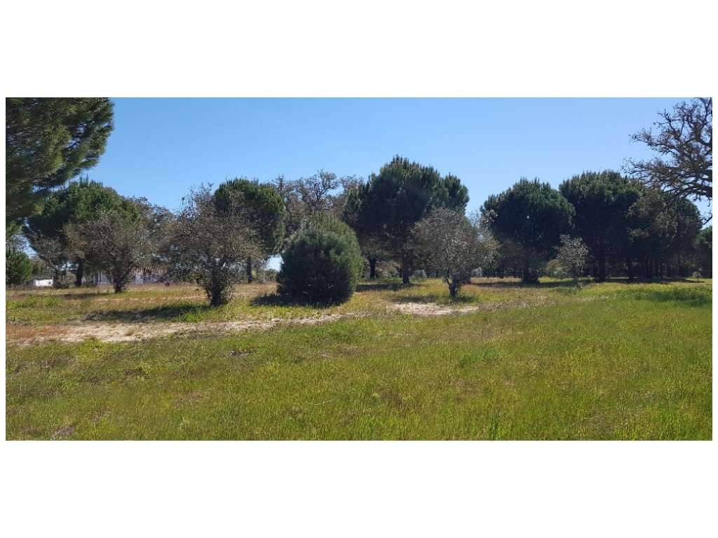 TERRENO (2,38ha) a 30 Km das Praias. - Grande imagem: 3/11