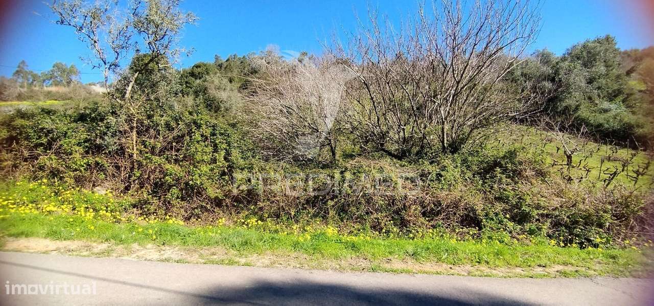 Terreno Rústico em Matacães (Torres Vedras) - Grande imagem: 4/5