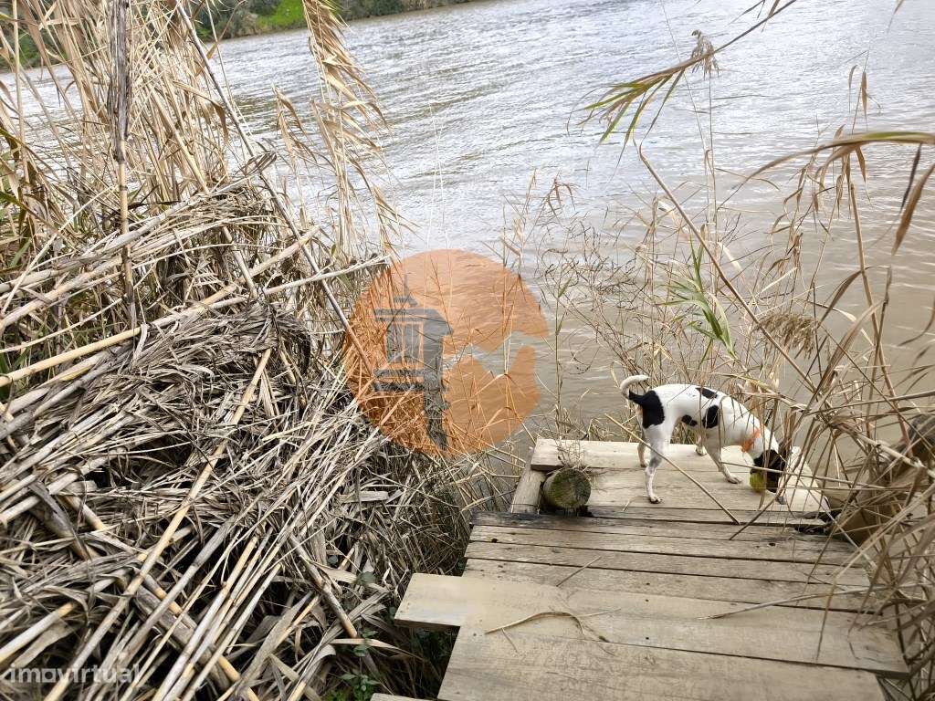 TERRENO COM 5.760 M² - COM FURO - ACESSO DIRETO À ÁGUA - JUNTO AO R... - Grande imagem: 4/46