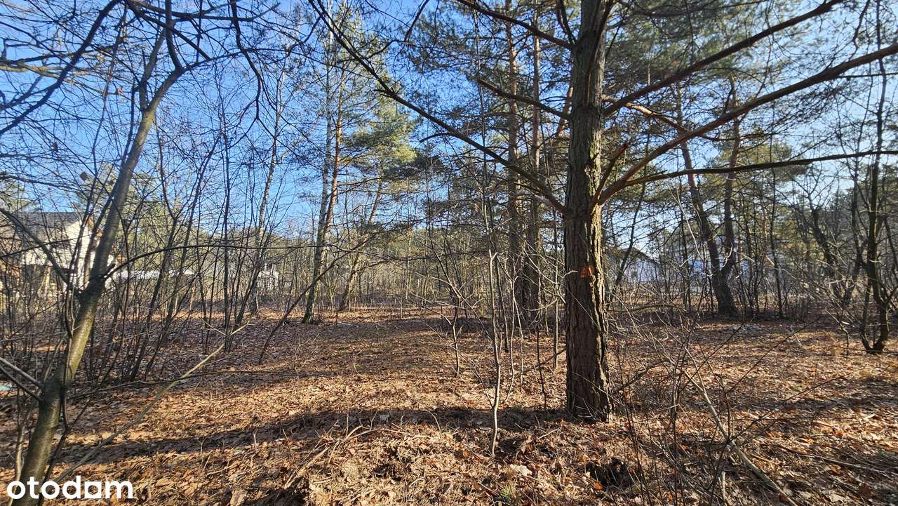 Chotomów działka budowlana 1265m2, las, blisko PKP - Pełny obrazek: 4/20