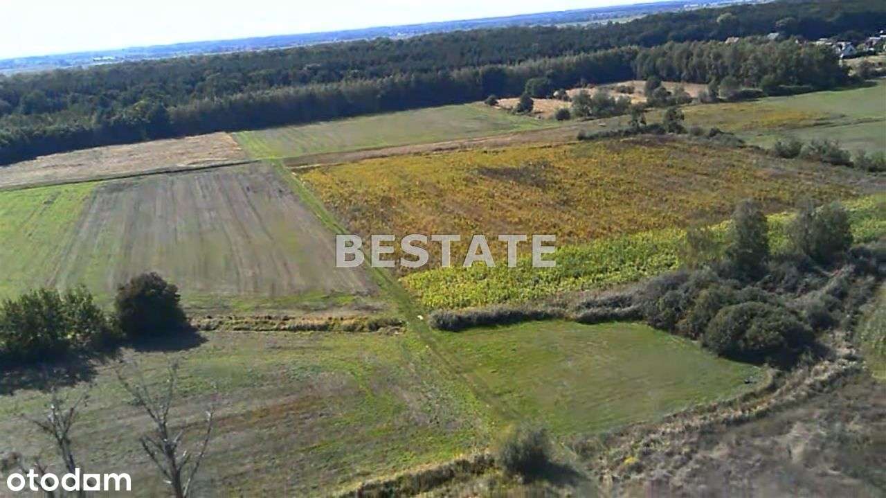 Atrakcyjna działka budowlana 1000 m2,Kotowice - Pełny obrazek: 5/8