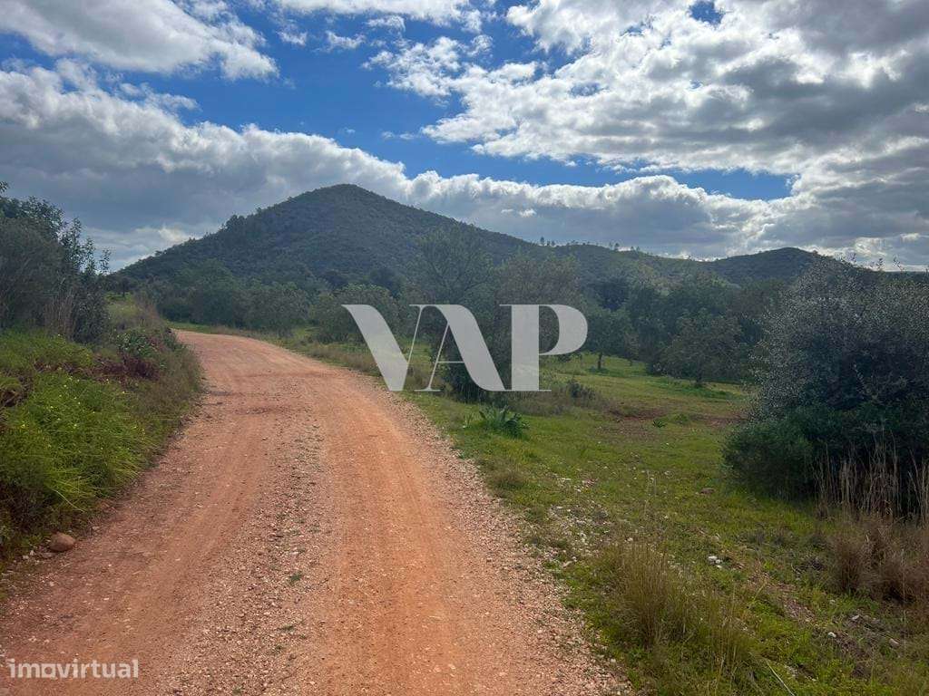 Terreno urbano com ruína em Querença, com vista serra - Grande imagem: 4/7