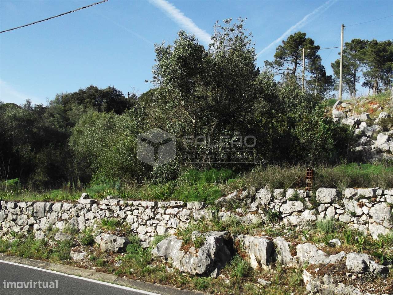 Terreno  Venda em Mira de Aire,Porto de Mós - Grande imagem: 1/12