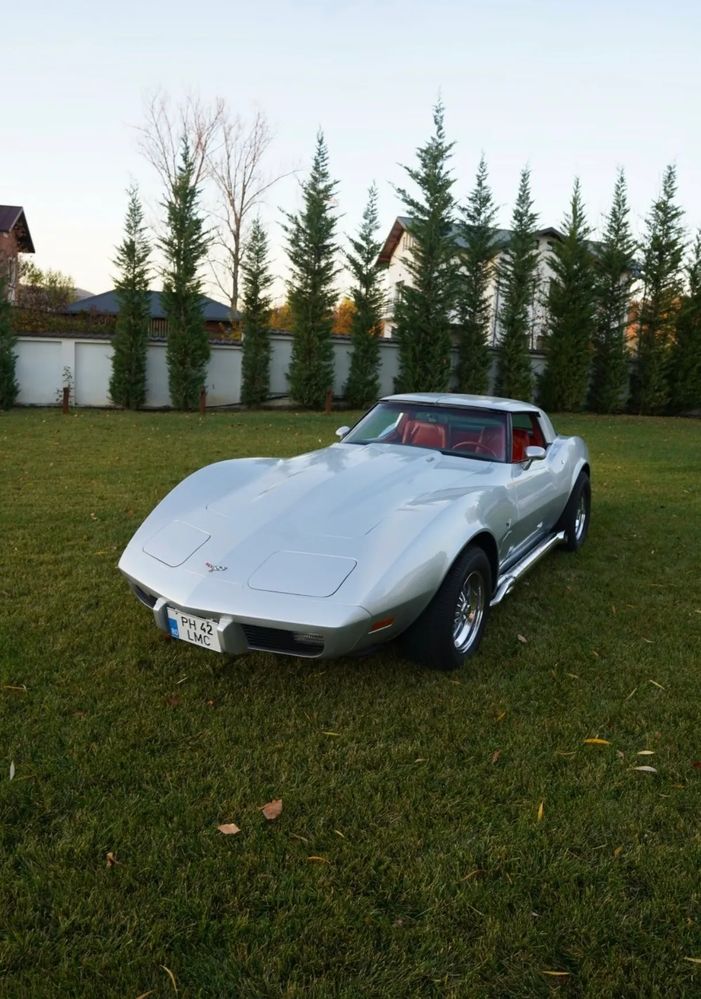 Chevrolet Corvette C3 [1968 - 1982] 1979