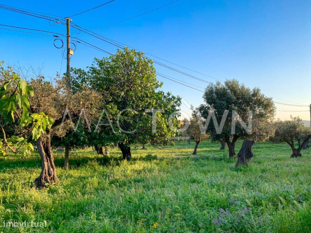 Imóvel Estratégico em Alcanena para Projeto Empresarial ou Residencial-8