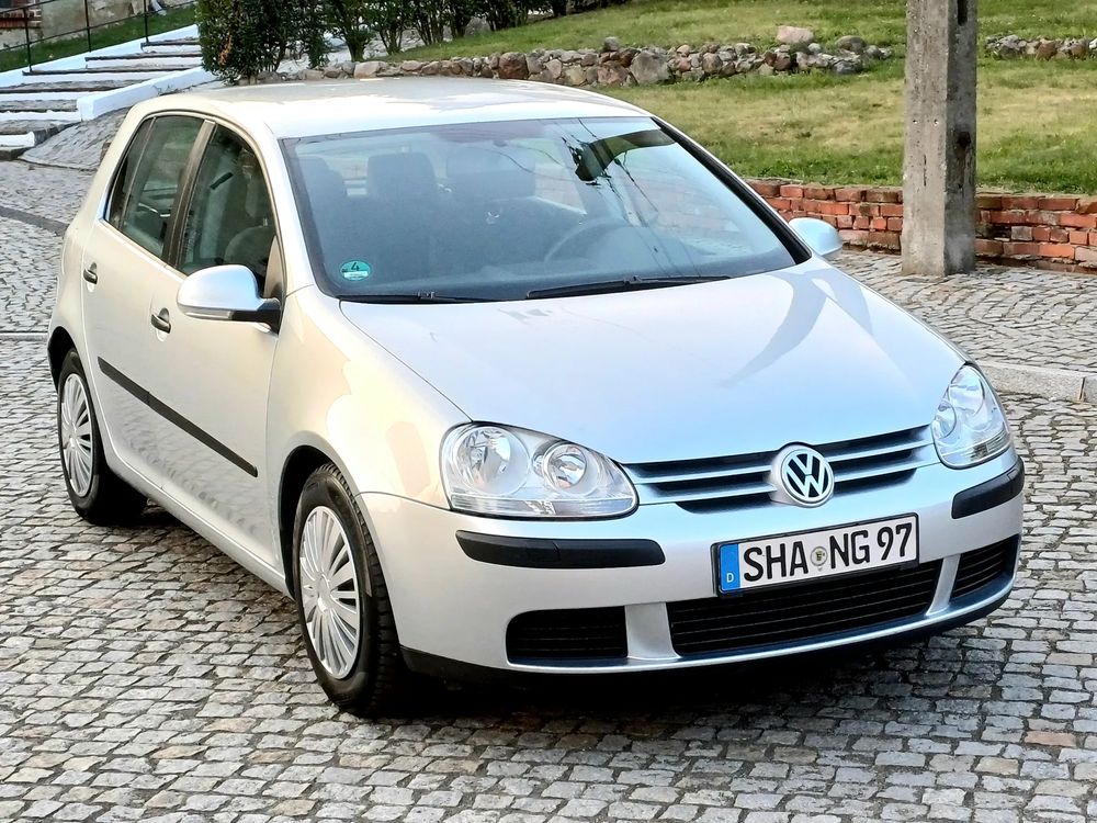 Volkswagen Golf V (2003-2009) 1.9 TDI Goal 2005