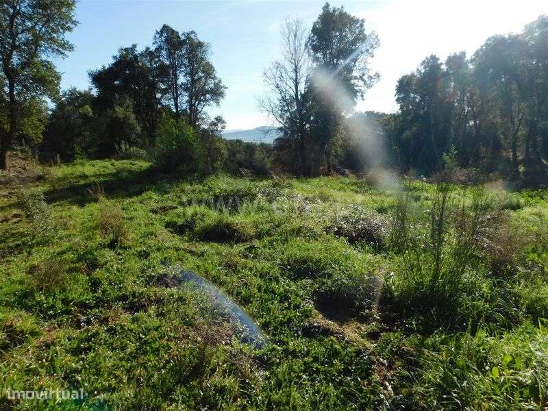Terreno Rústico / Fundão, Vales Pêro Viseu - Grande imagem: 3/3